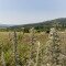 A Botos-hegy felhagyott kőbányája (Balatonhenye)