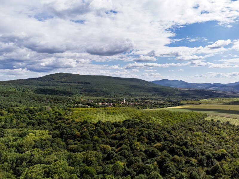 DJI_0251