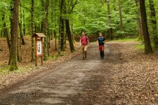 Erdei etikett kéktúrázóknak