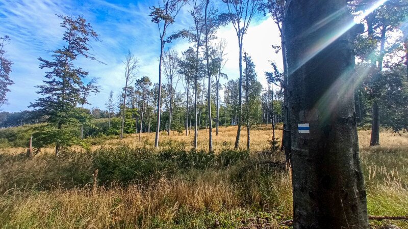 IMG_20240929_213453 másolata