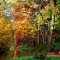 Kámoni arborétum