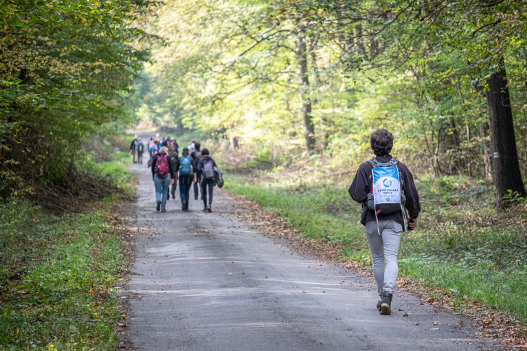 Kéktúrázás napja a számok tükrében