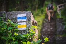 Köszönjük a felajánlott egy százalékos támogatásokat!