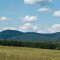OA-806525888