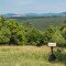 OA-806627235