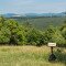 OA-806627235