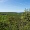 Pusztavár-hegy (kilátóhely)