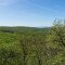 Pusztavár-hegy (kilátóhely)