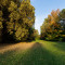 Szarvasi arborétum (Pepi-kert)