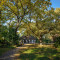 Szarvasi arborétum (Pepi-kert)