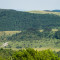 Szőlőhegy (Jósvafő)