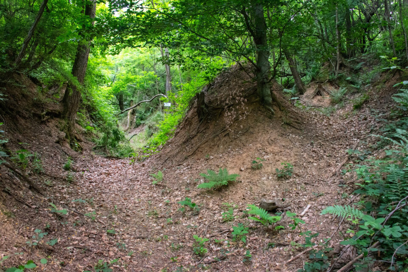 tanoesveny-agai-vezetnek-a-gira-hegyi-kilatohoz